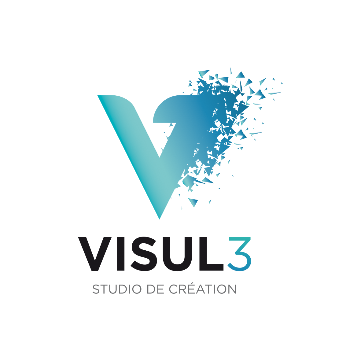 visul3 logo