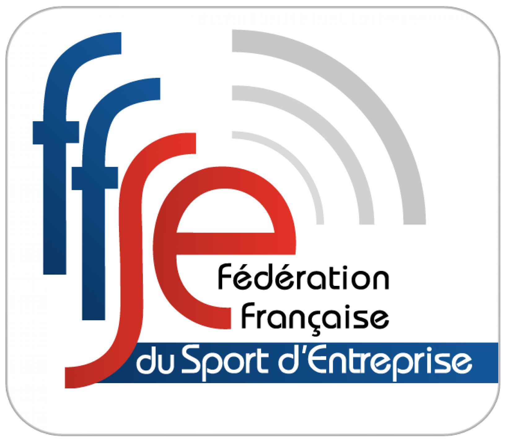 Logo FFSE