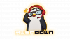 Copie de Rushdown